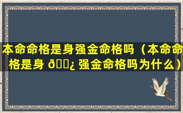 本命命格是身强金命格吗（本命命格是身 🌿 强金命格吗为什么）
